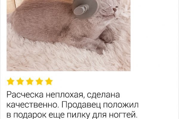 Зайти на кракен через браузер