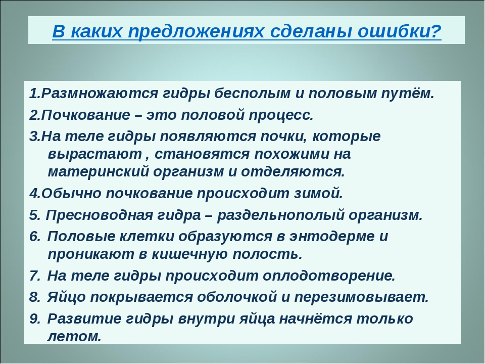 Почему не получается зайти на кракен